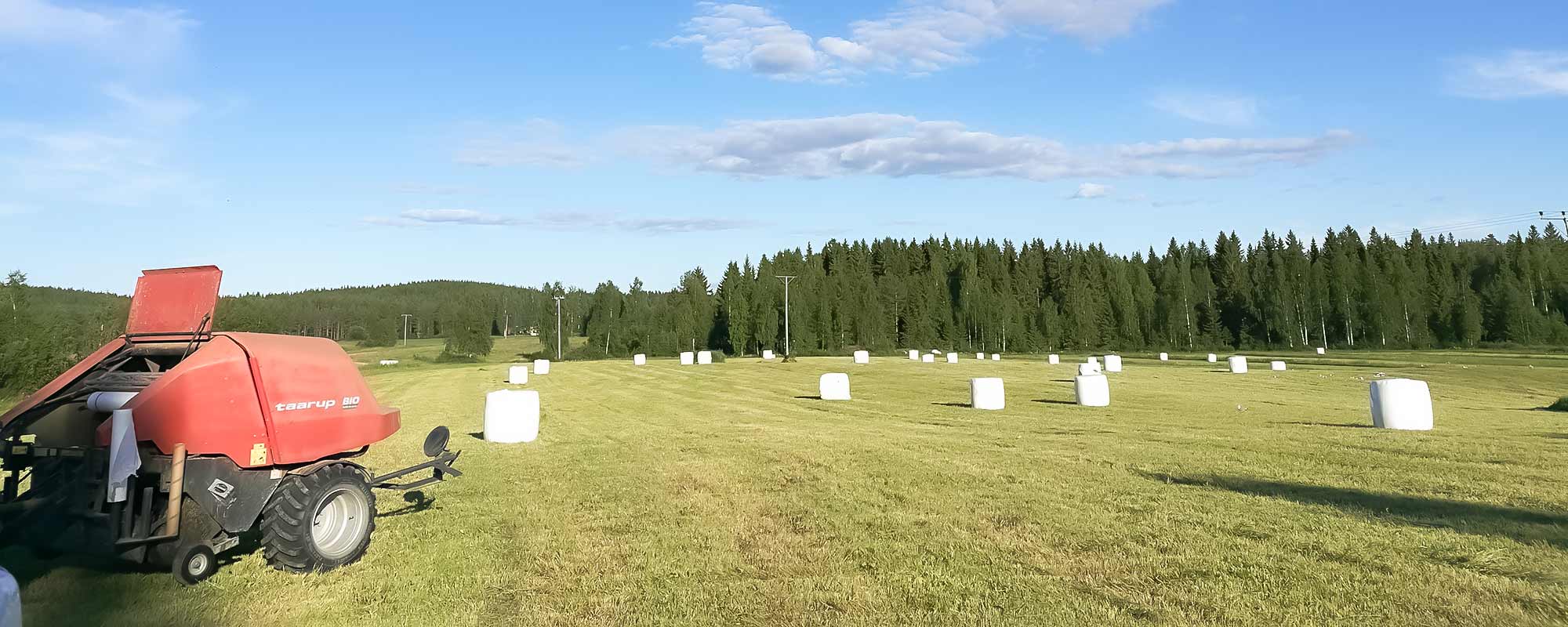 Perinnetila Isäntärenki